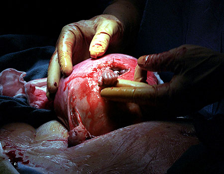 0_21_TheHandofHope_450
