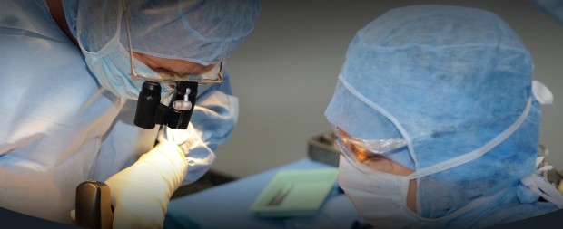Medicina ca misiune “La Ordinea ZIlei”
