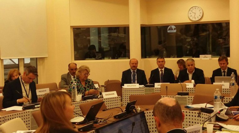 Comisia de profil APCE a decis să elaboreze un Raport care va examina acţiunile Barnevernet în cazul Bodnariu