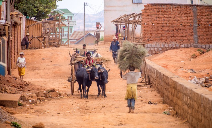 Jurnal de Misiune din Madagascar: Ca păsările migratoare în ravagiile din Insula Roșie