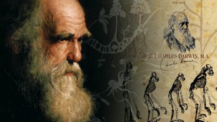 Charles Darwin: Adio teorie!