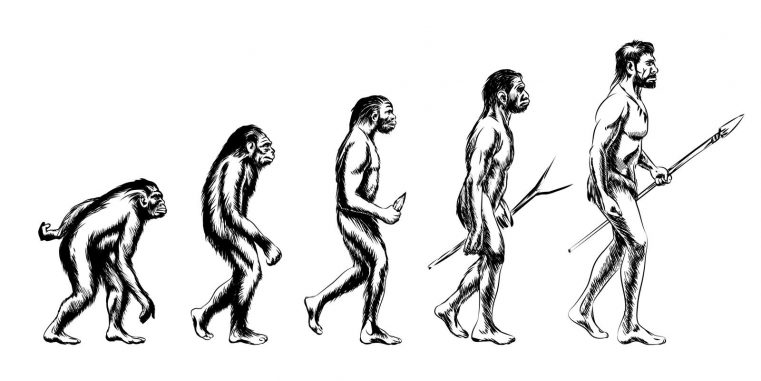 Peste 1.000 de oameni de ştiinţă au semnat o scrisoare publică prin care se dezic de teoria evoluţiei