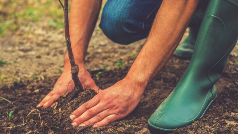 Jim Mathis: Timpul pentru „replantare”, profesional sau personal?