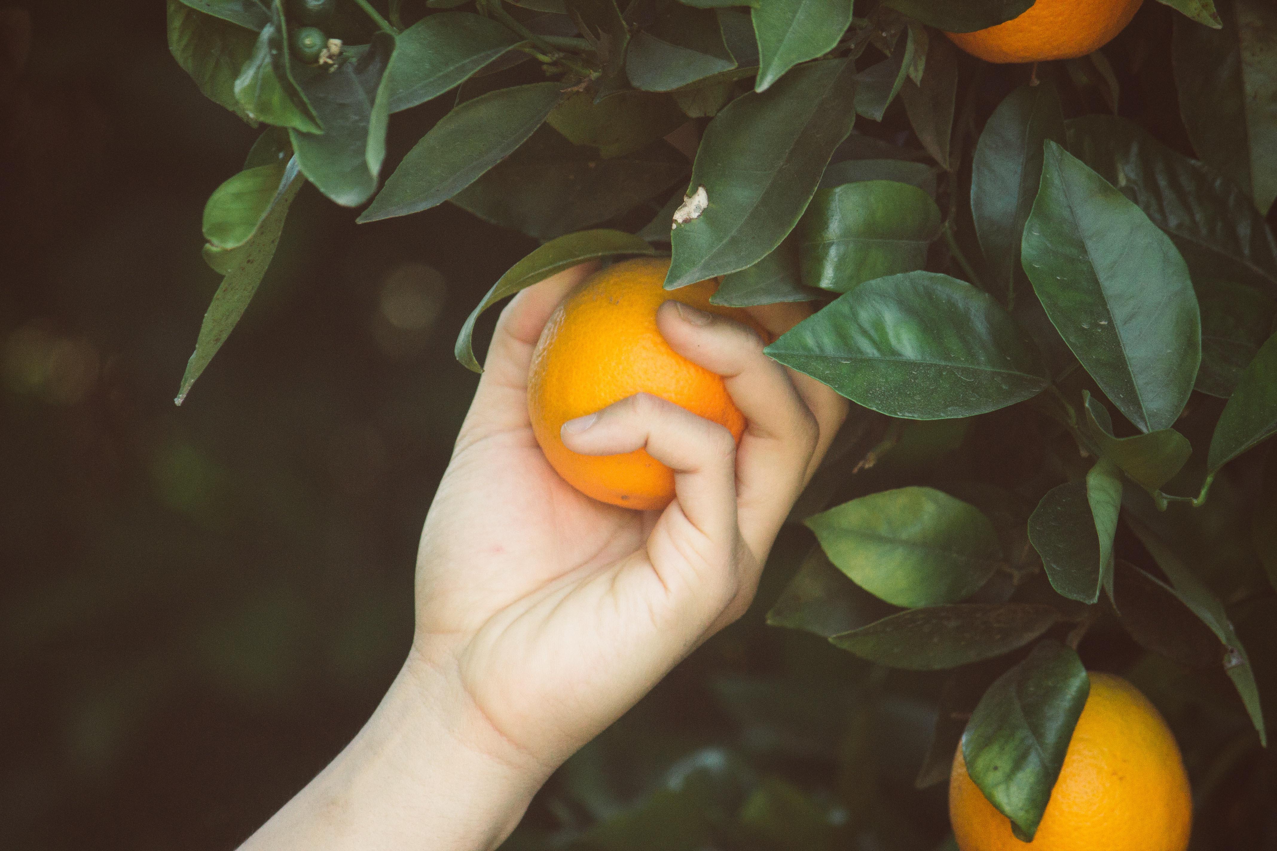 Când Dumnezeu pune întrebările