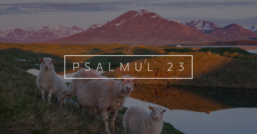 PSALMUL 23: „Mă povățuiește pe cărări drepte”