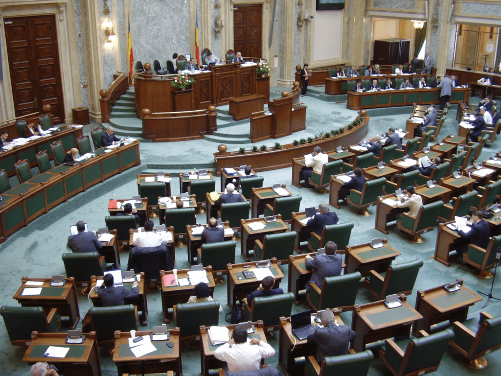 Senatul României a adoptat o declarație de susținere a familiei Furdui