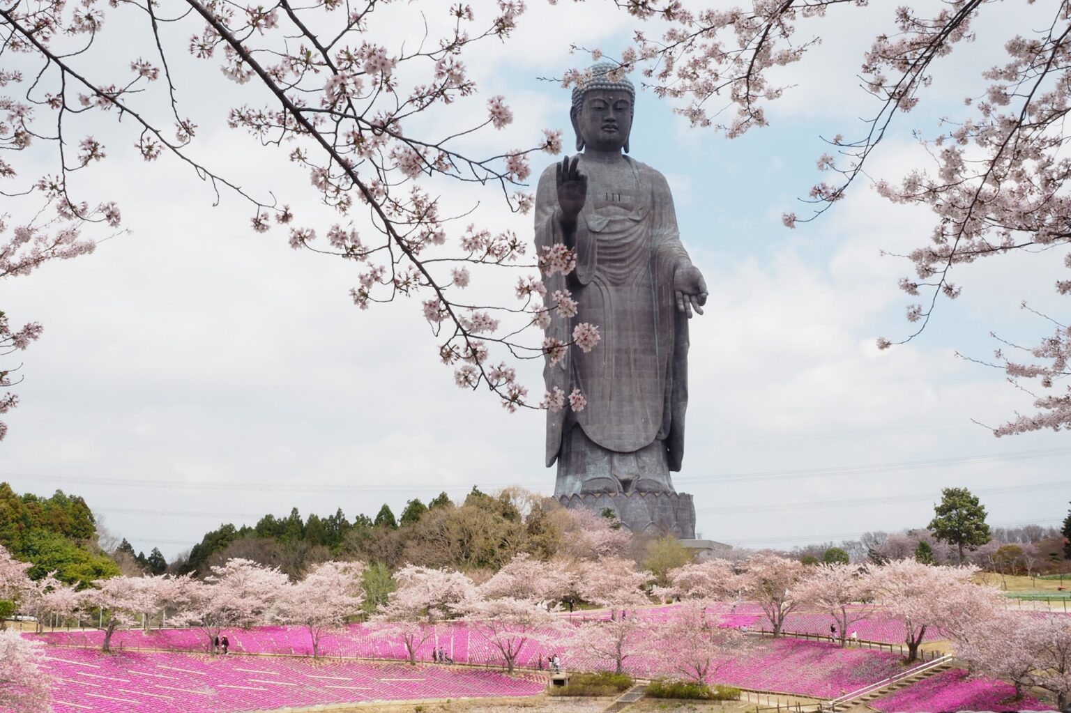 Ziua a 6-a: Budiștii din Japonia – 15 zile de rugăciune pentru lumea budistă