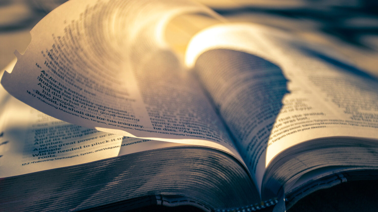 Iosua Faur: 𝐂𝐮𝐦 𝐬𝐞 𝐢𝐧𝐭𝐞𝐫𝐩𝐫𝐞𝐭𝐞𝐚𝐳𝐚̆ 𝐀𝐩𝐨𝐜𝐚𝐥𝐢𝐩𝐬𝐚?