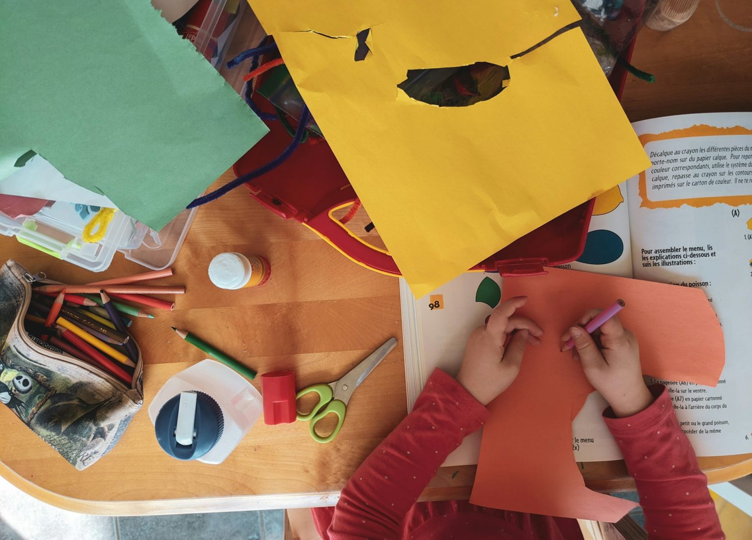 Părinți din Bihor condamnați definitiv pentru că și-au retras copiii de la școala de stat pentru a-i educa în sistem homeschooling