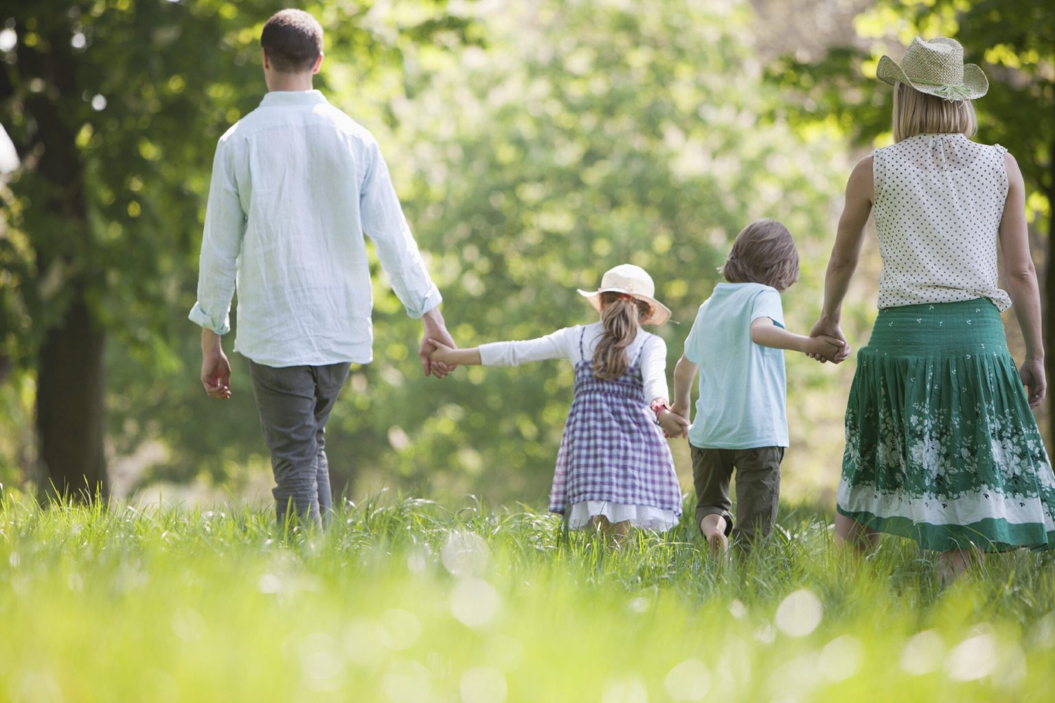 Apărarea familiei – cine sunt cei responsabili?