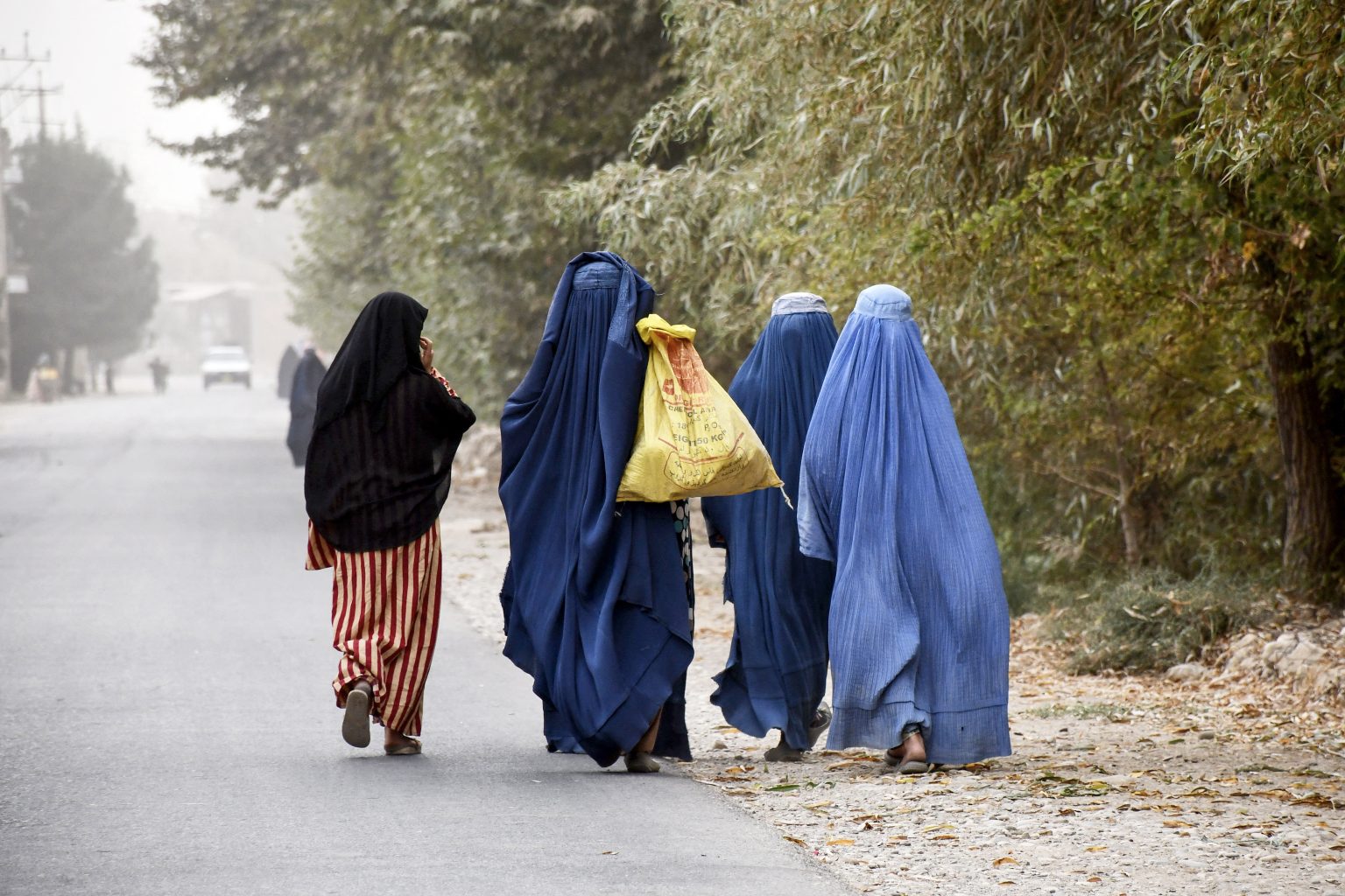 Afganistan: Talibanii ordonă închiderea ONG-urilor care angajează femei