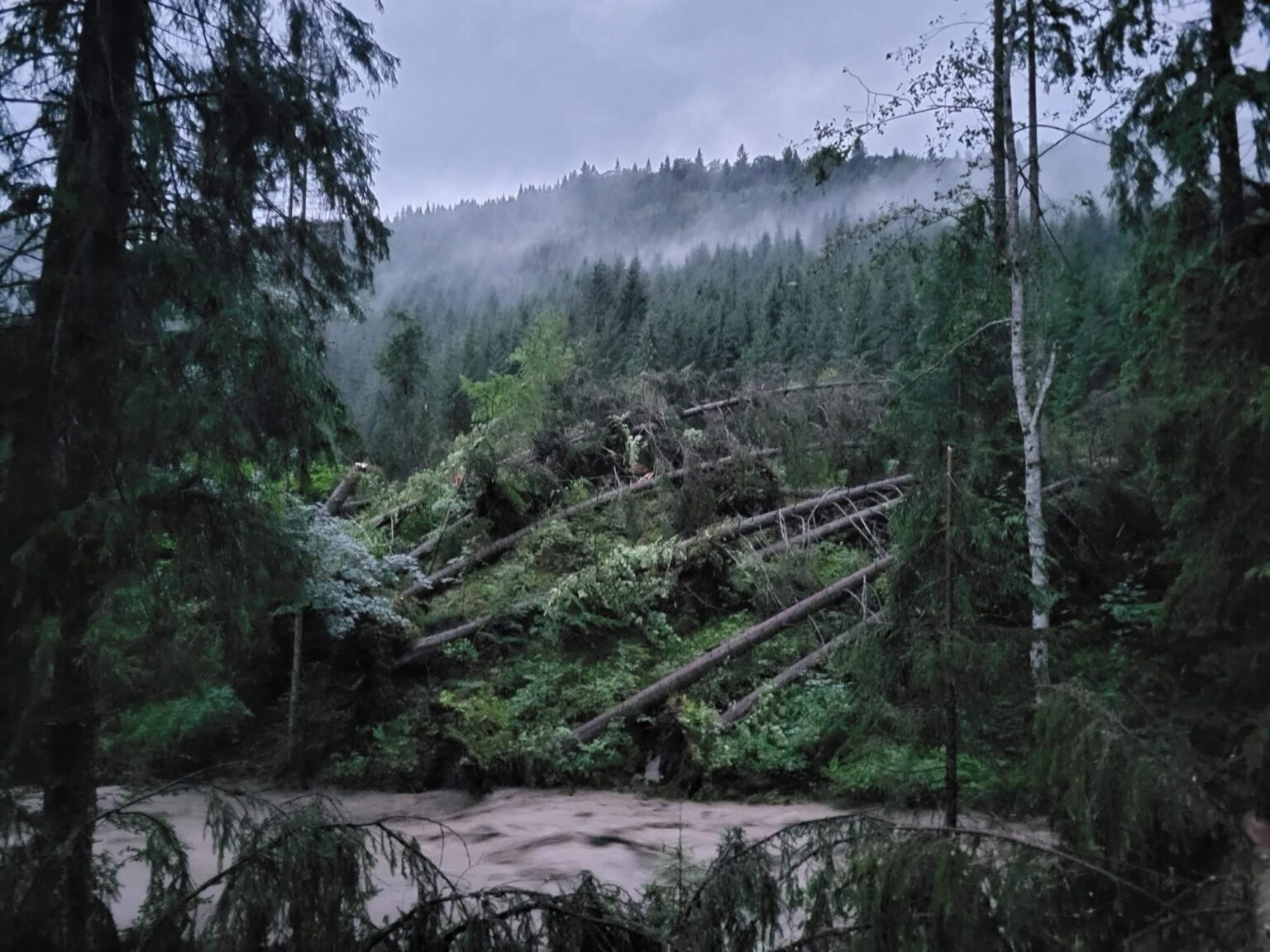 Doamne, scapă-ne! Doamne, ai milă de noi! Ține-ne, că pierim!