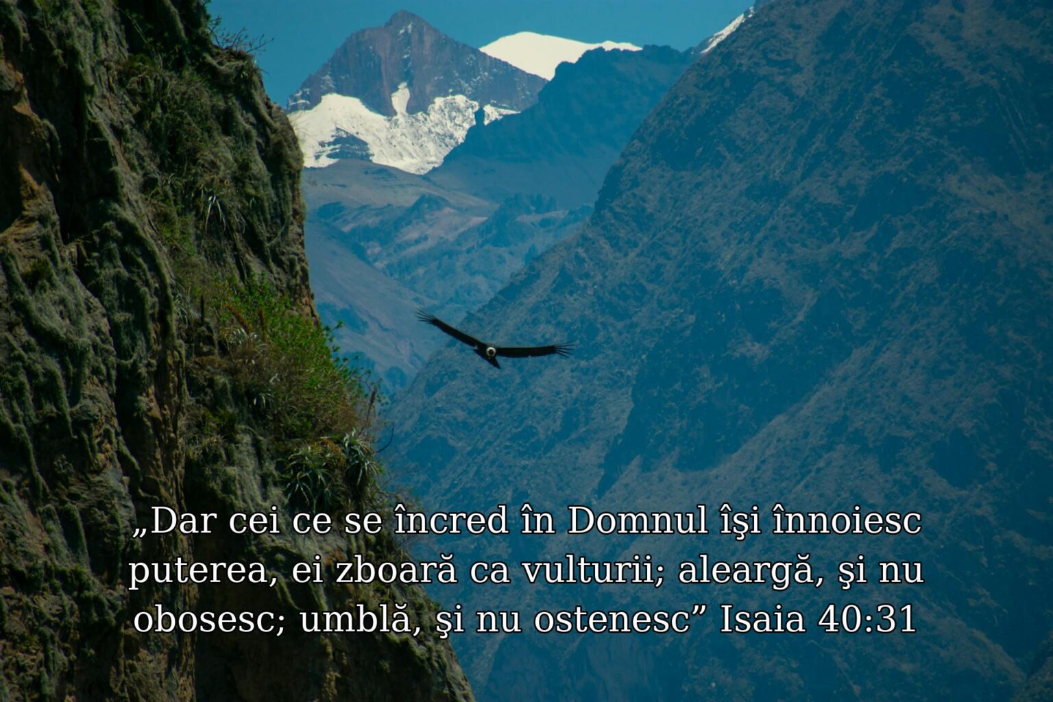 DEVOȚIONAL: Adevărata noastră speranță