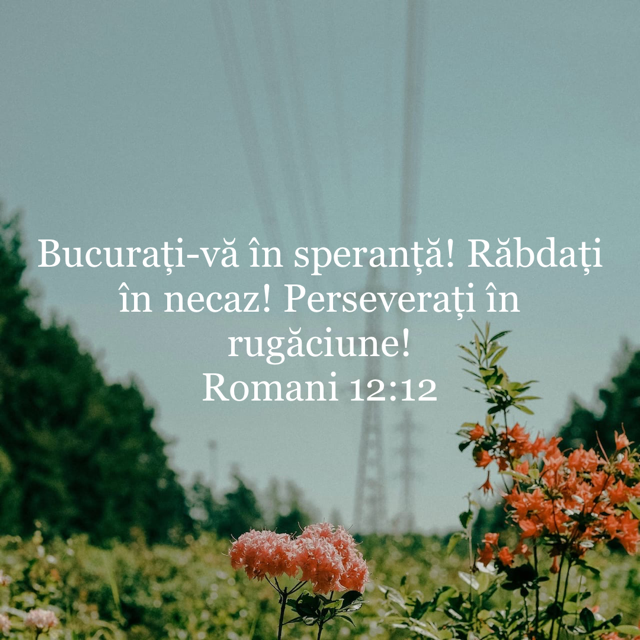 DEVOȚIONAL: Cum să construiești un caracter puternic