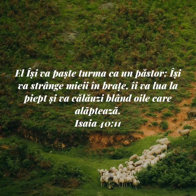 DEVOȚIONAL: Un Păstor și oile lui