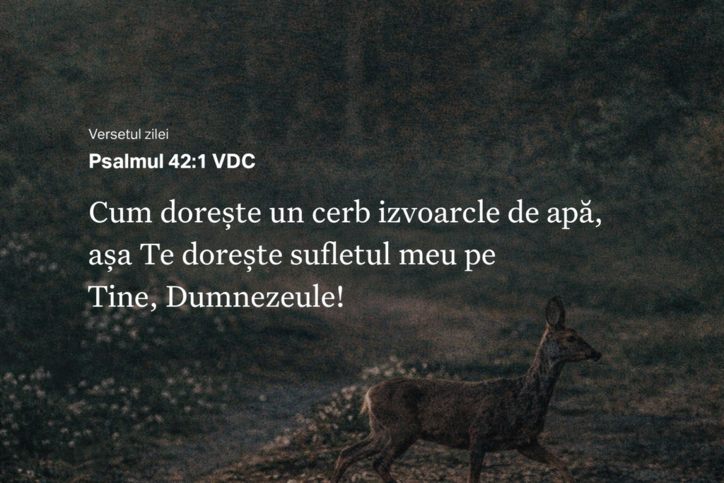 DEVOȚIONAL: Dorind prezența lui Dumnezeu