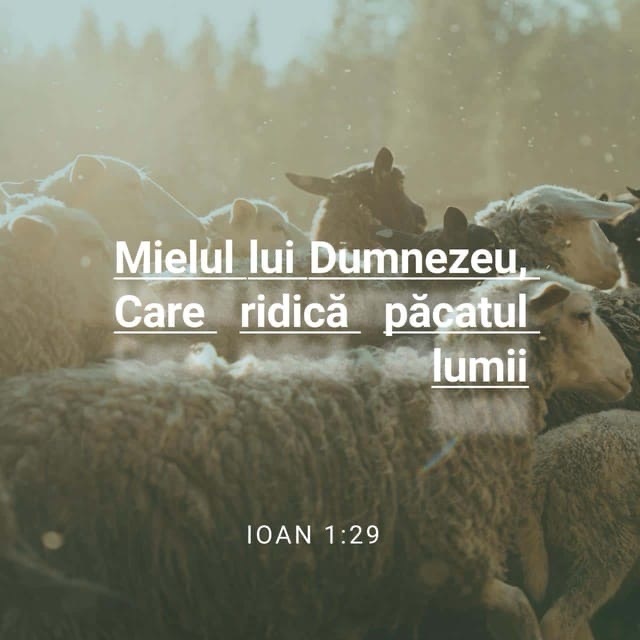 DEVOȚIONAL: Mielul lui Dumnezeu