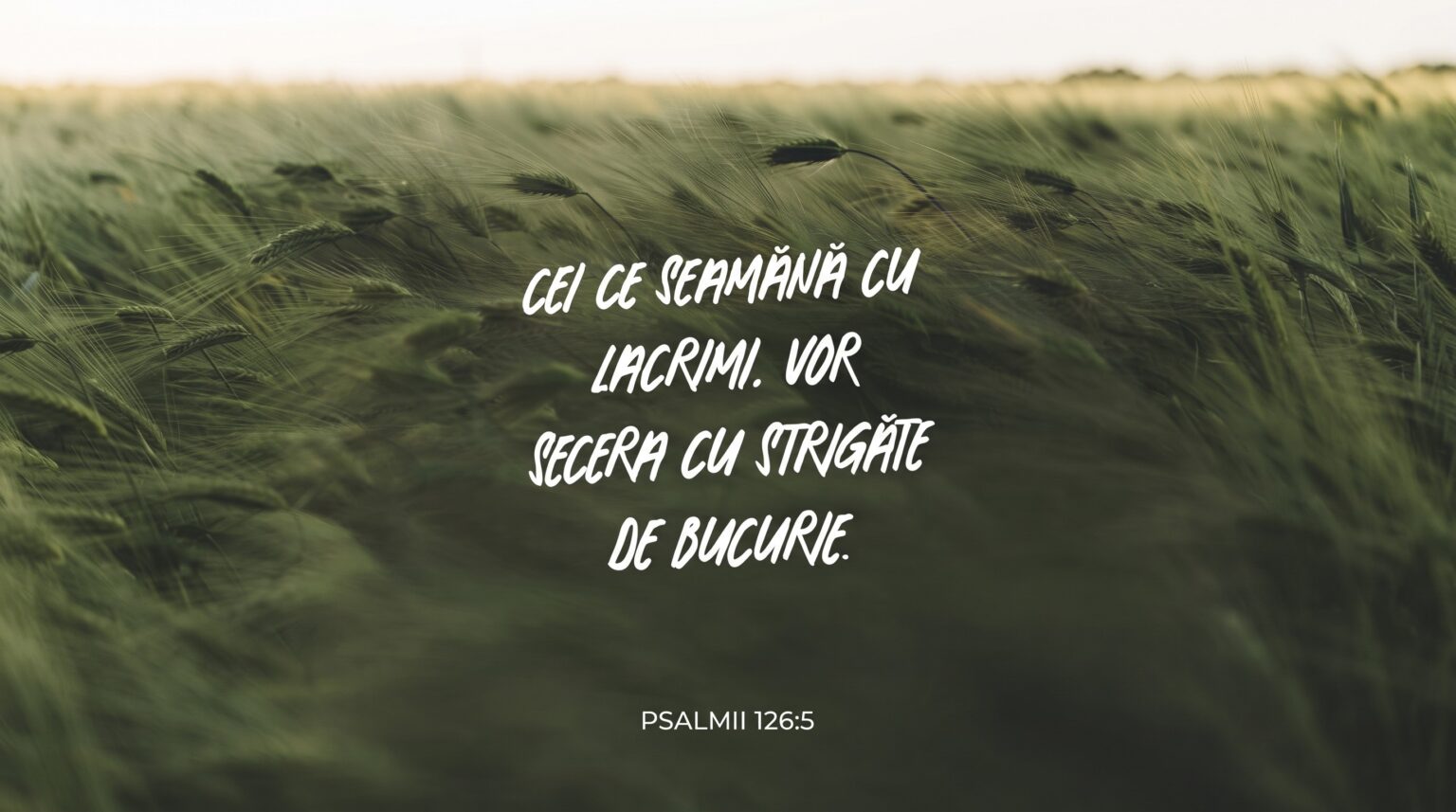 DEVOȚIONAL: Lacrimi de creștere